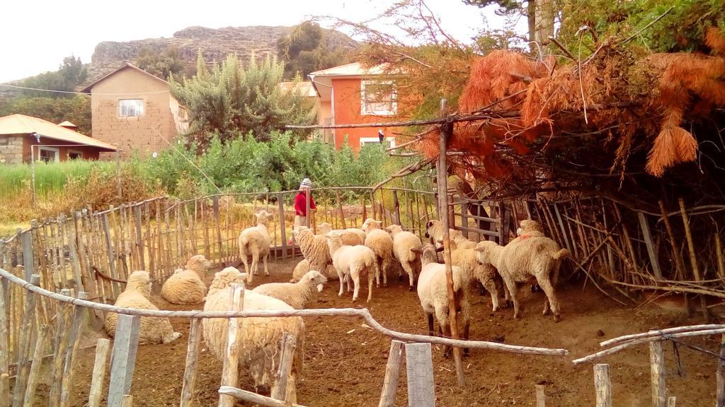 Casa Titicaca Amantani Otel Ocosuyo Dış mekan fotoğraf